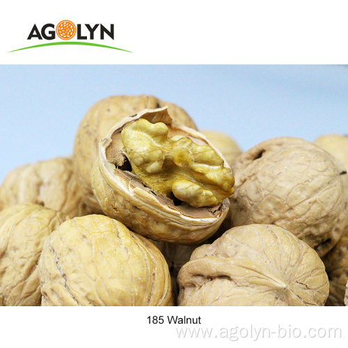 2021 new crop 185 paper shell walnuts